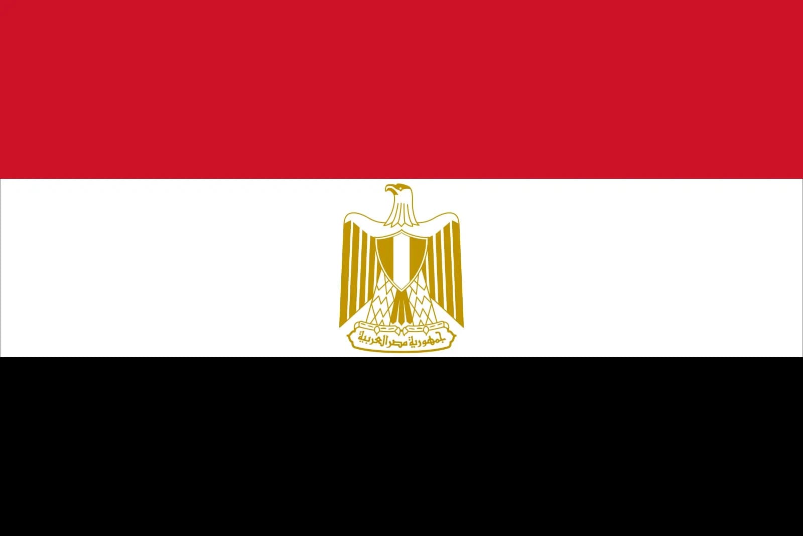 جهاز قياس ضغط الدم الرقمي 3